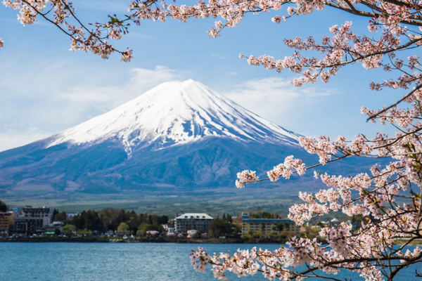 Mt. Fuji Private Luxury Photo Tour