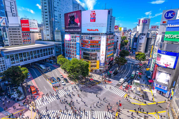 Tokyo Private Custom Photo Tour