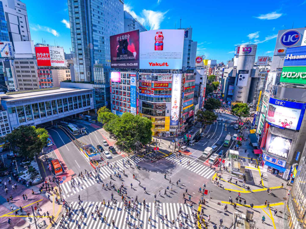 Tokyo Private Custom Photo Tour